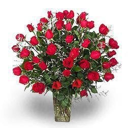 four dozen red roses in albuquerque nm peoples flowers