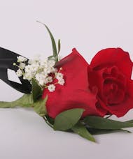 Classic Rose Boutonniere with Accent and Ribbon