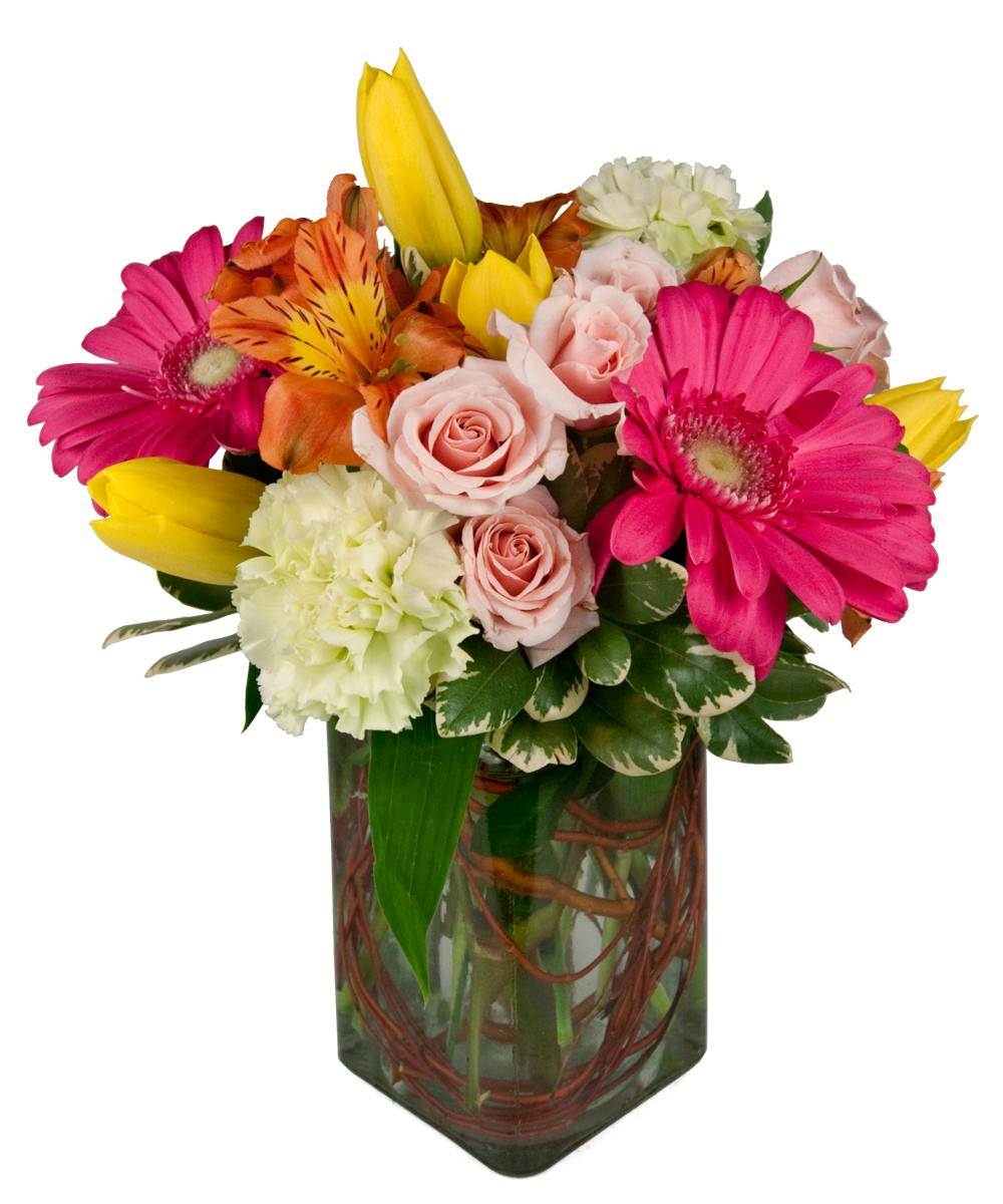 Blissful Blossoms Longlasting Flowers Albuquerque People's Flowers