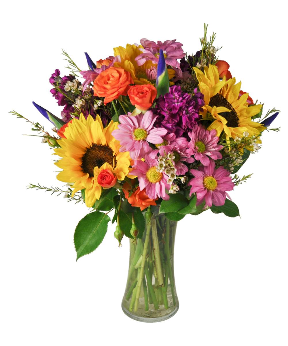Flower Delivery Albuquerque New Mexico Florist Peoples Flowers