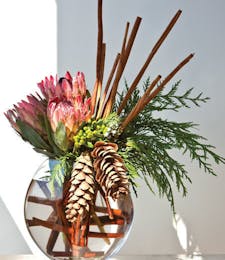 Proteas & Pinecones