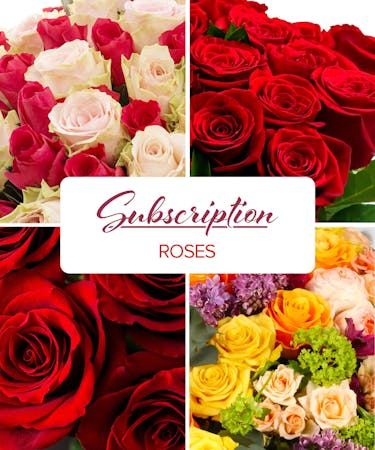Best Available Roses