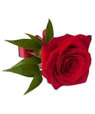 Classic Red Rose Pin On Boutonniere with Tuck and Standard Ribbon Choices