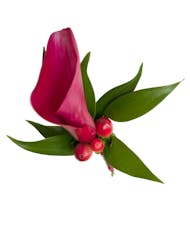 Calla Lily Boutonniere with Hypericum Berries