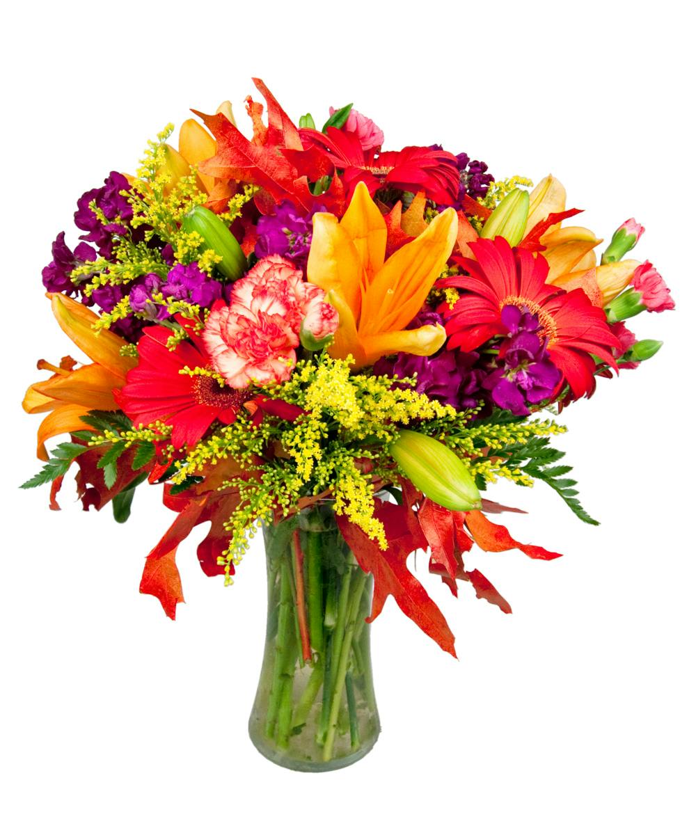 gerber baby flowers
