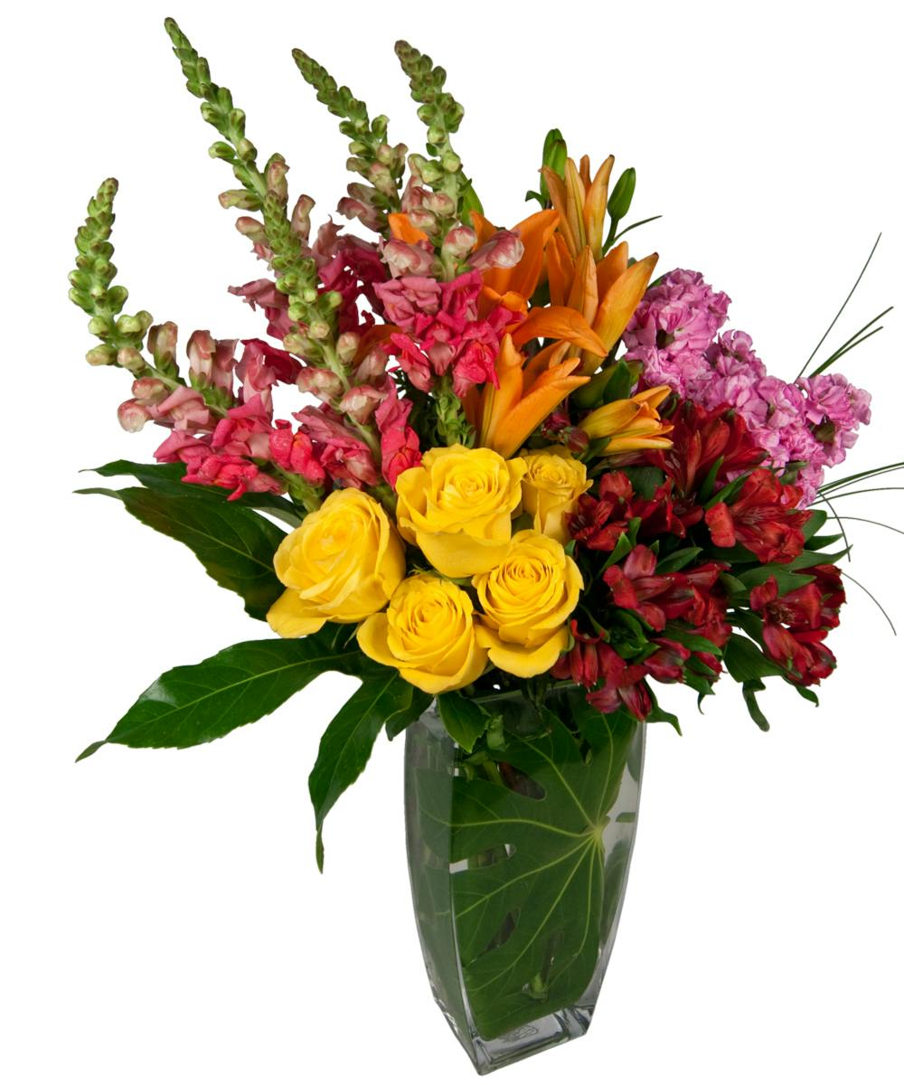 Floral Sophistication Albuquerque Floral Delivery (NM) People's Flowers