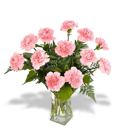 A Dozen Carnations With Accent