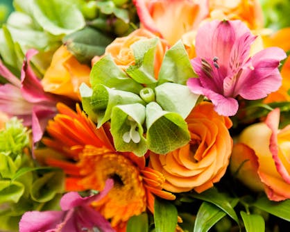 A bright mix of green, orange and pink flowers